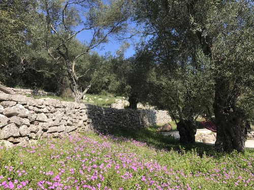 Springtime