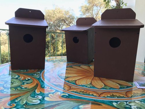 AirBnB for Scops Owls!